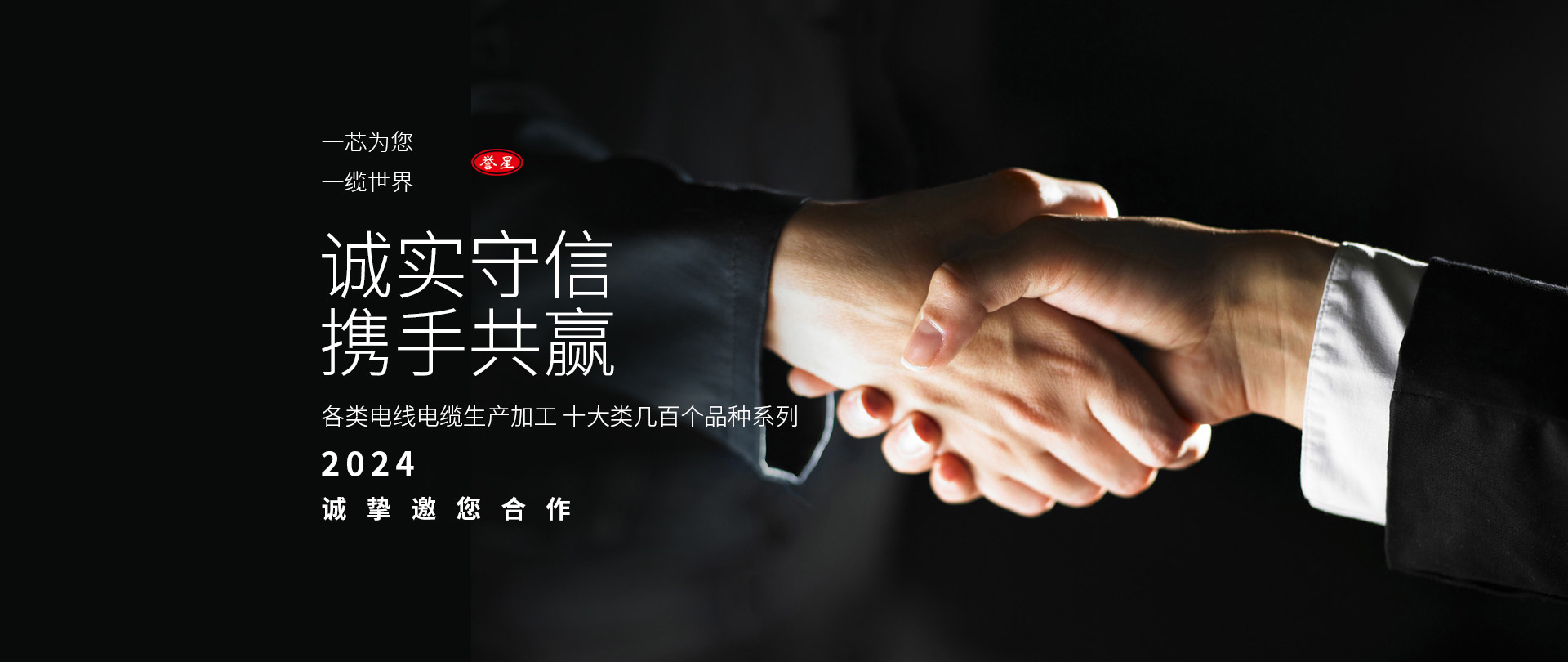 	 金星線(xiàn)纜有限責任公司